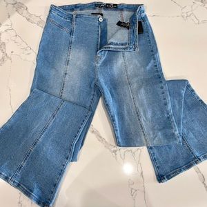 Fashion Nova Curve Stretch Flare Jean Size 18 NWT